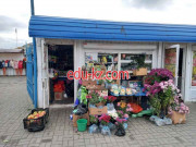 Магазин семян Магазин цветов - на портале domby.su