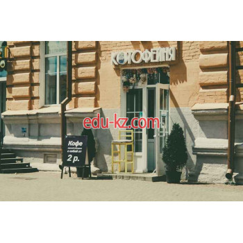 Магазин чая и кофе Котофейня - на портале domby.su