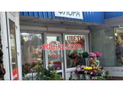 Магазин семян Флора - на портале domby.su