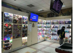 Светосила