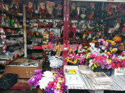 Магазин для садоводов - Gnomy.by Магазин для садоводов Gnomy.by - на портале domby.su